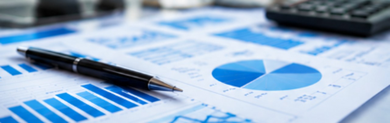 Financial performance reports and charts